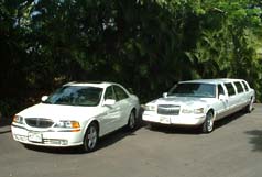 Limousine Airport Service