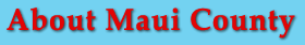 Airport Services - Star Limo